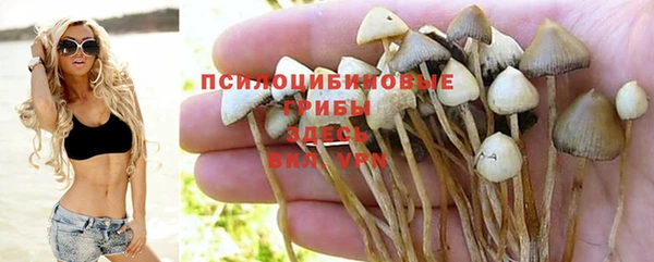 PSILOCYBIN Балахна